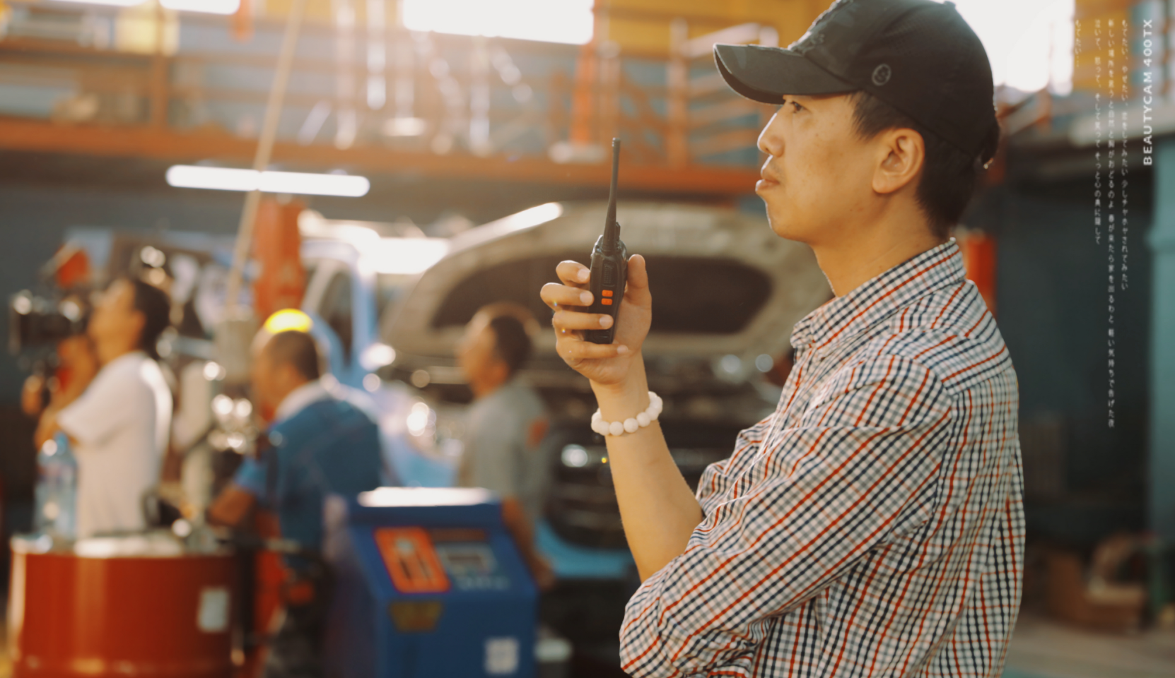 梭梭草剧照的剧照