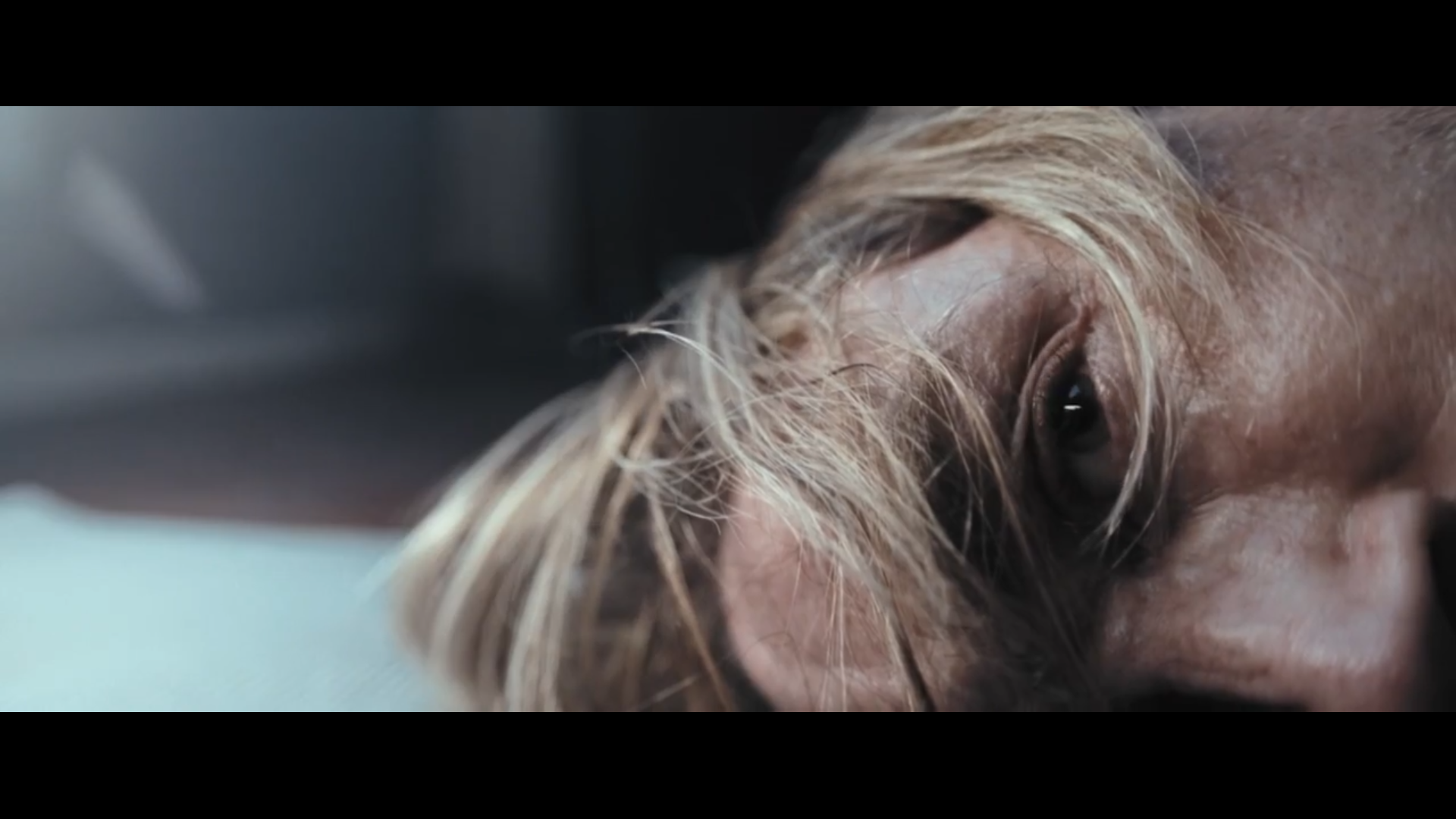 尘中之物剧照的剧照