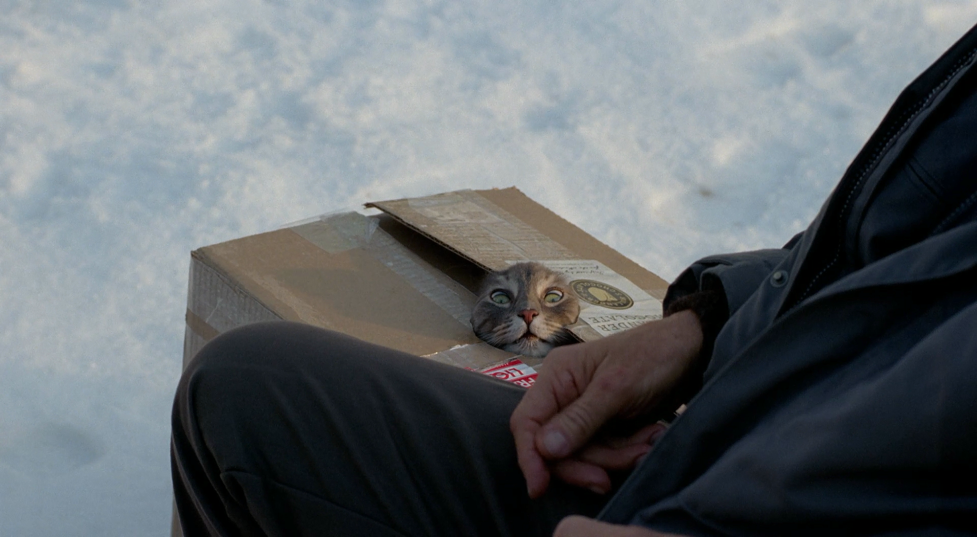 生无可恋的奥托剧照的剧照