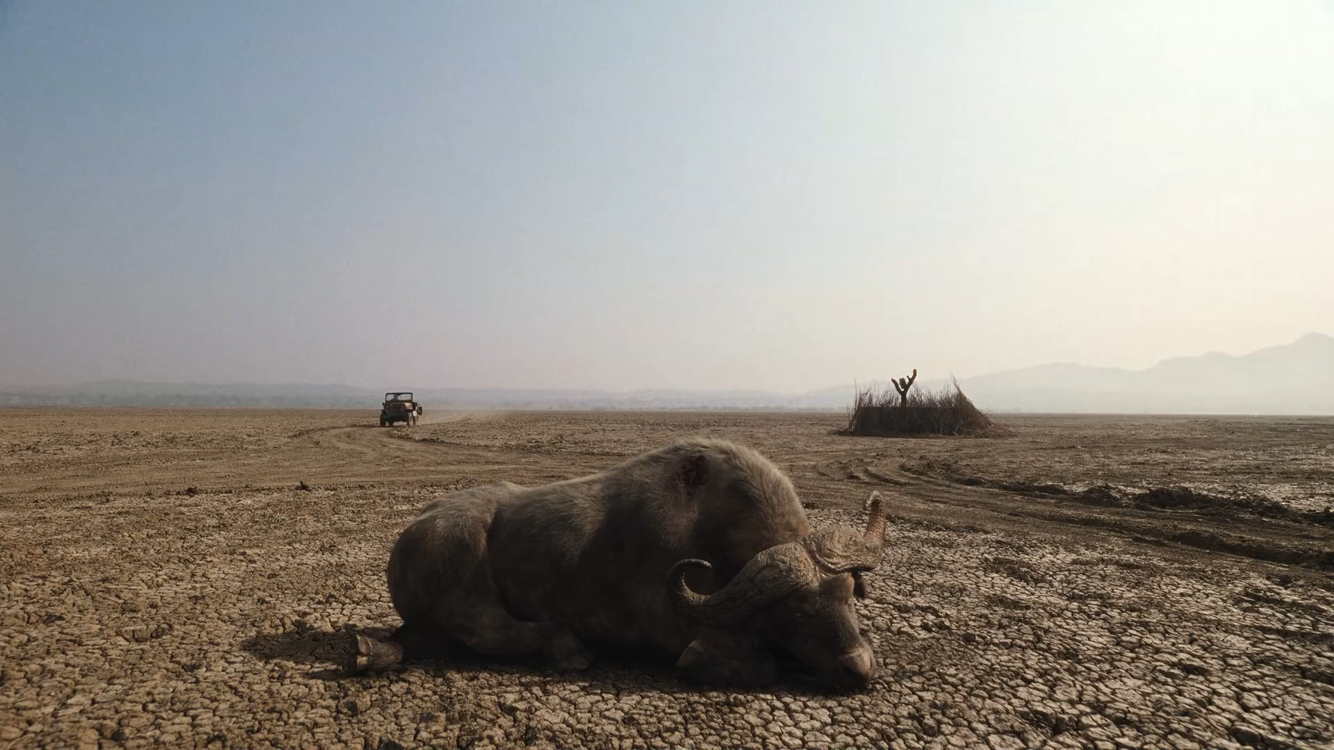 危情普什卡剧照的剧照