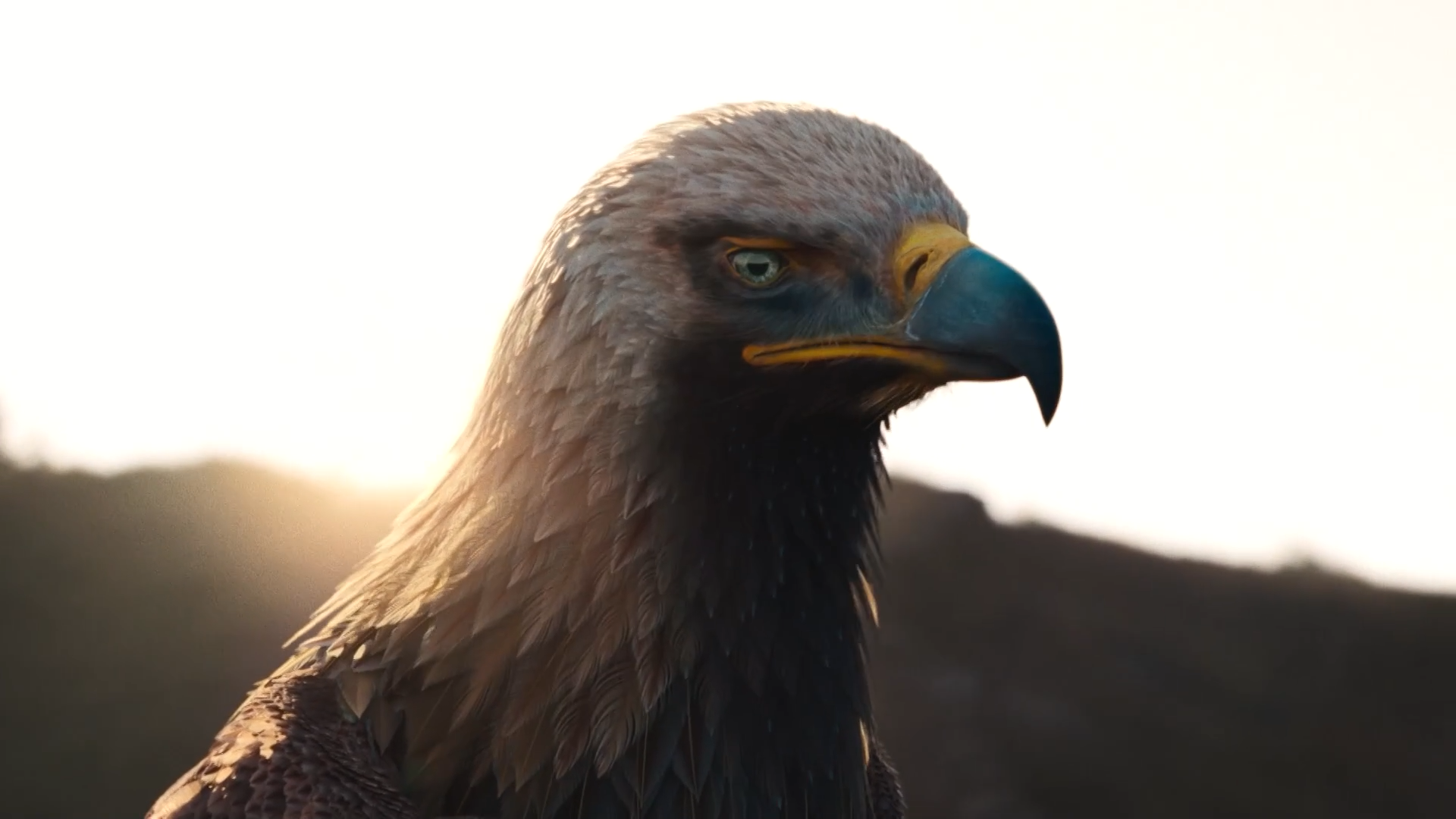 危情普什卡剧照的剧照