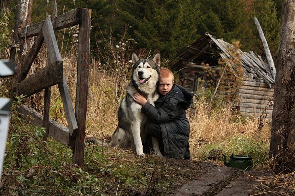 西伯利亚，我的爱剧照的剧照