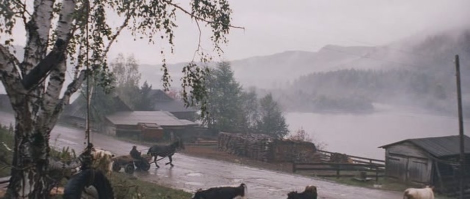 西伯利亚，我的爱剧照的剧照