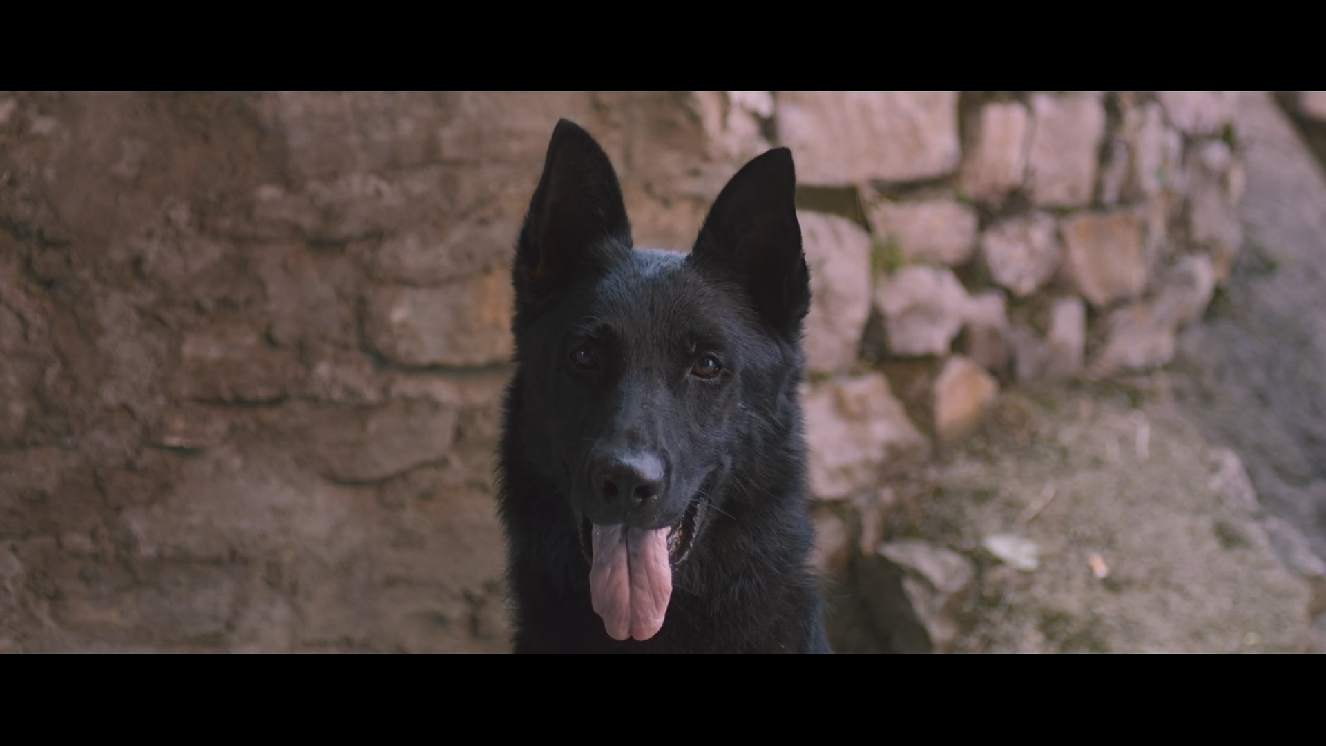 抬头见喜剧照的剧照