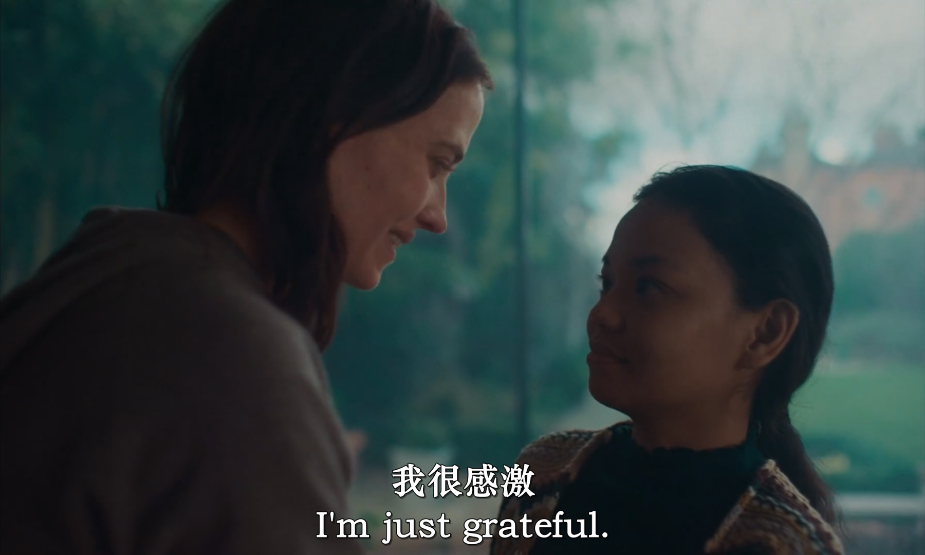 反安慰剂剧照的剧照