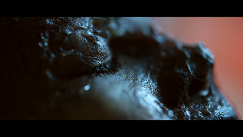 法医缉凶剧照的剧照