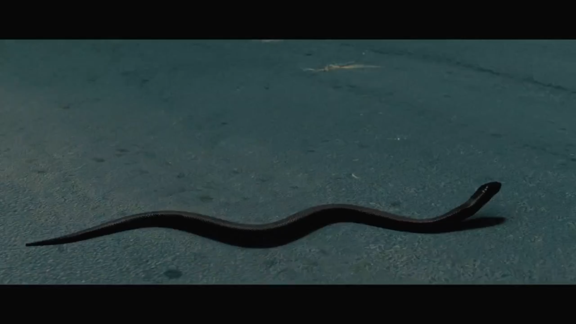 法医缉凶剧照的剧照