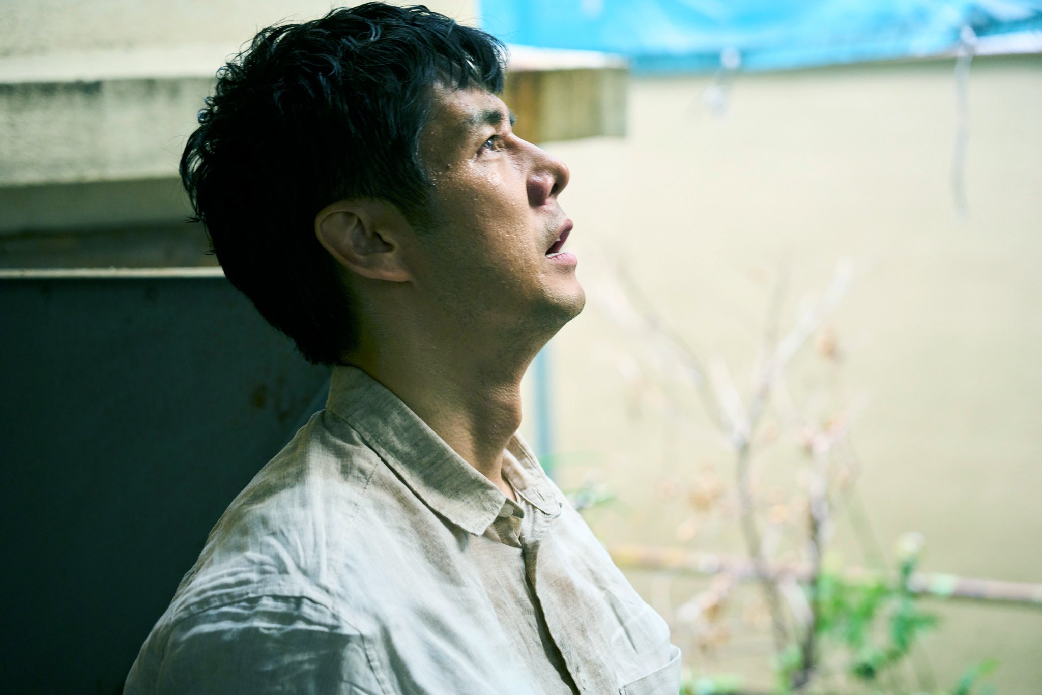 再见，残酷的世界剧照的剧照