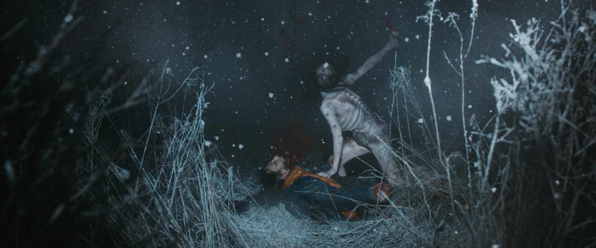 鬼影实录：血亲剧照的剧照