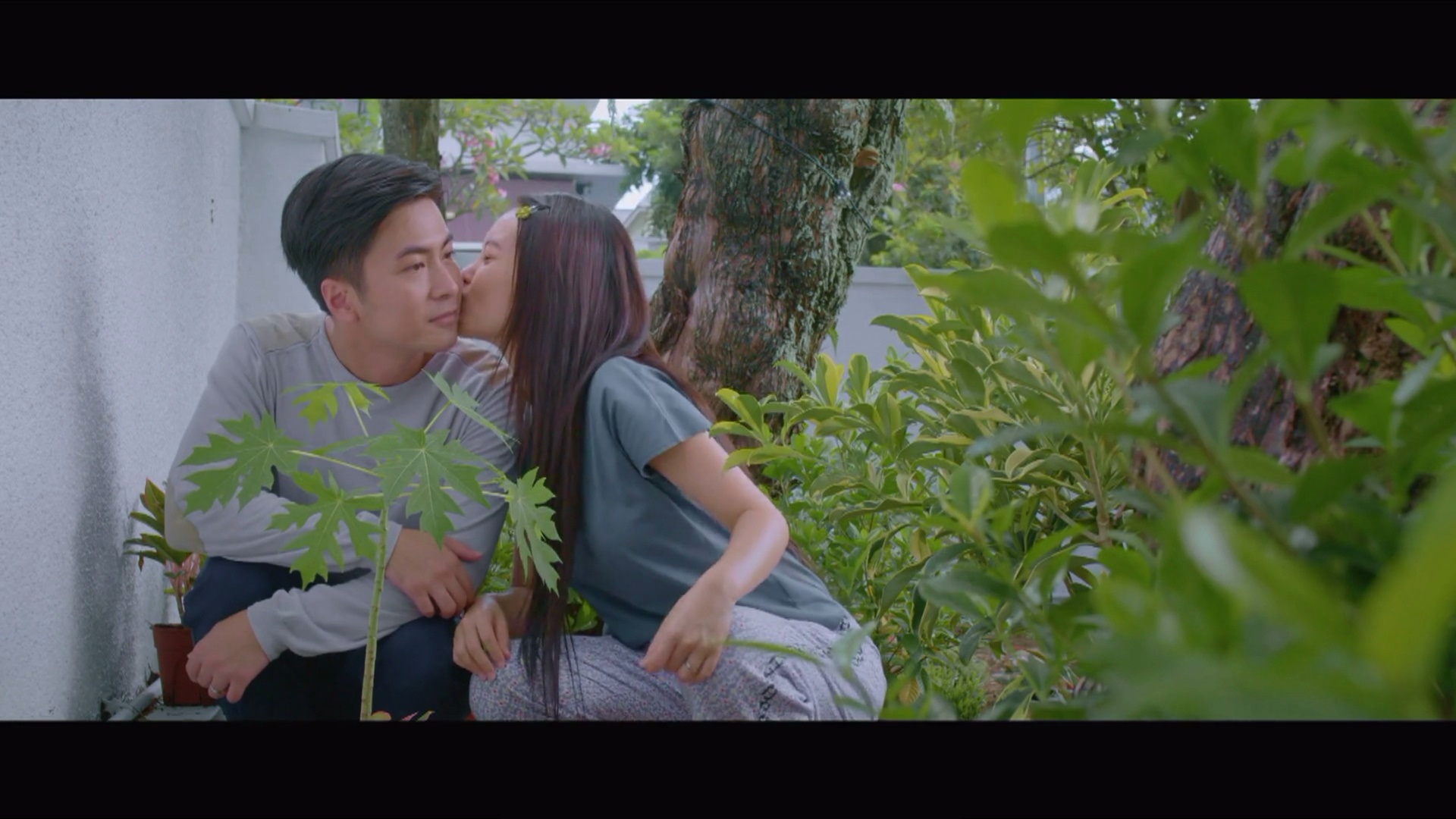 你好！梅芳草剧照的剧照