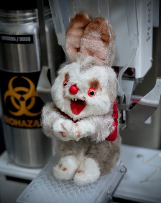 蚁人与黄蜂女：量子狂潮剧照的剧照