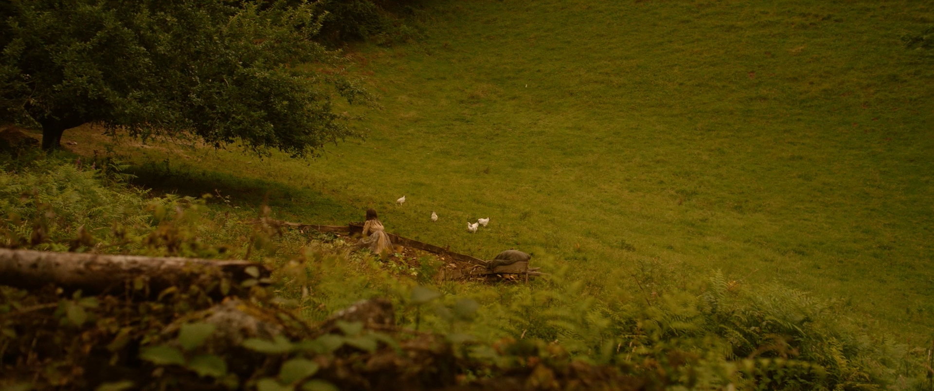 无尽的月剧照的剧照