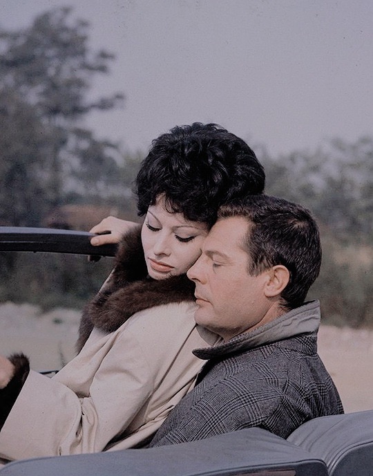 昨日、今日、明日剧照的剧照