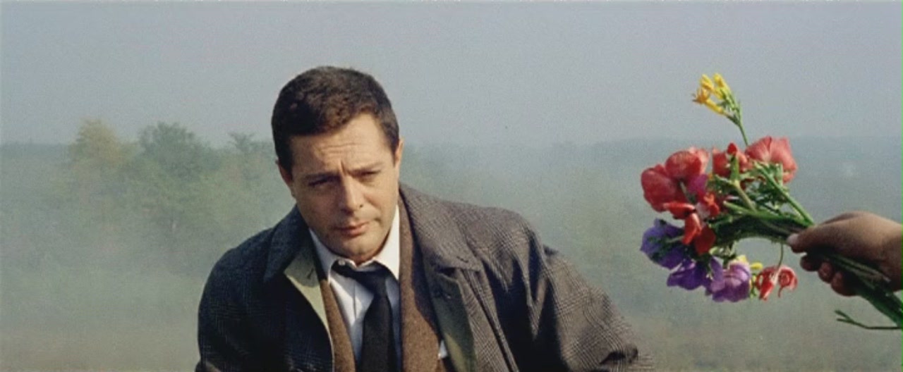 昨日、今日、明日剧照的剧照