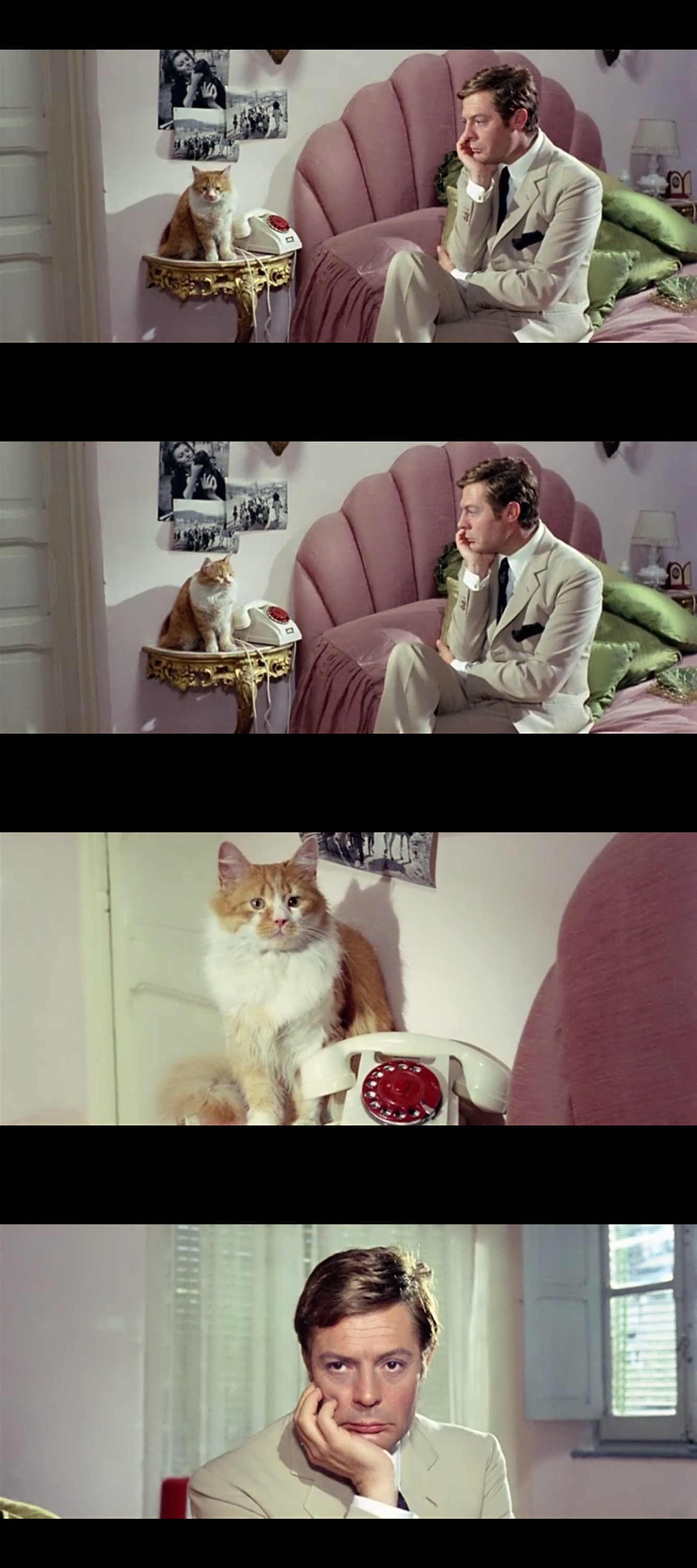 昨日、今日、明日剧照的剧照