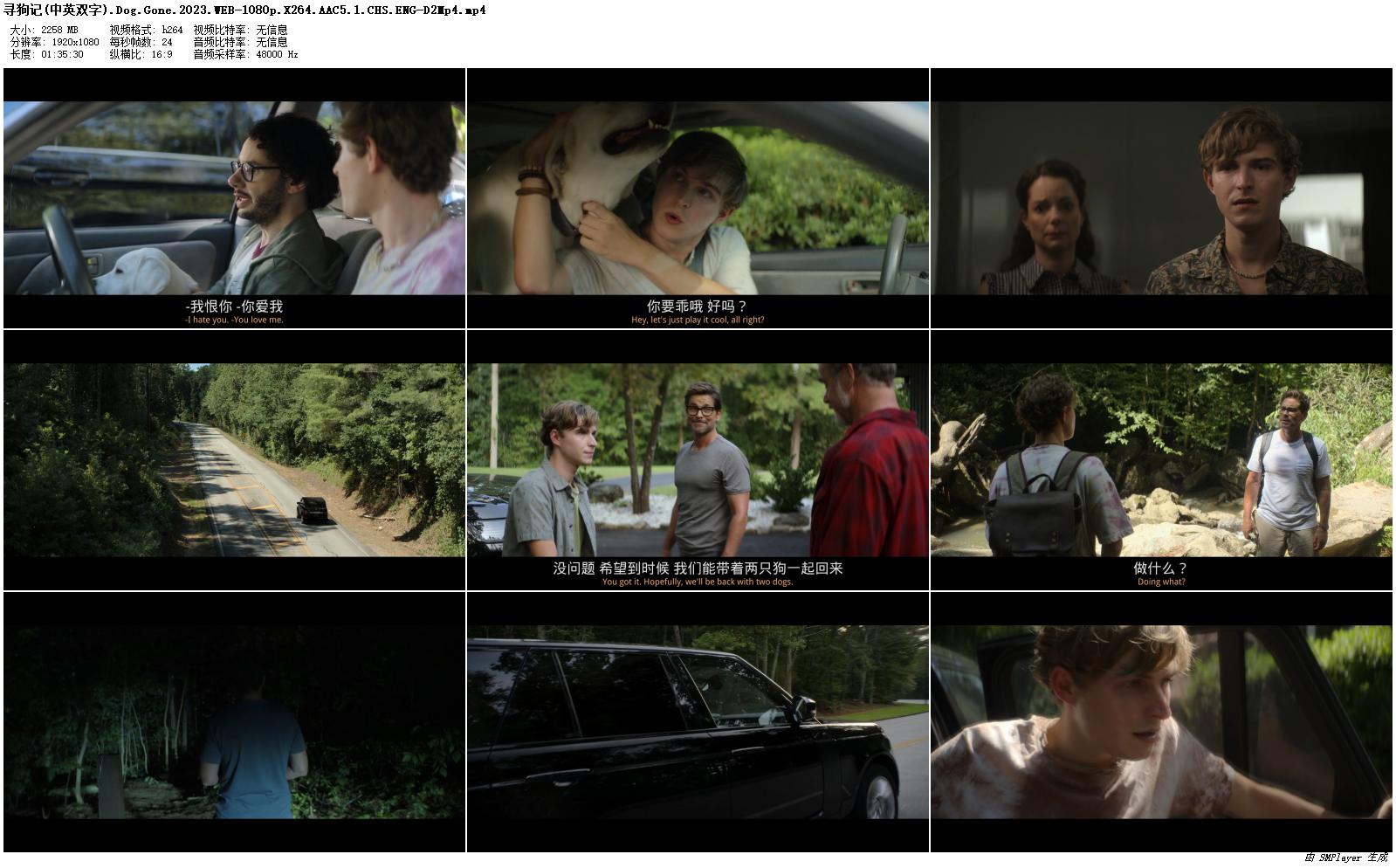 迷途之犬剧照的剧照