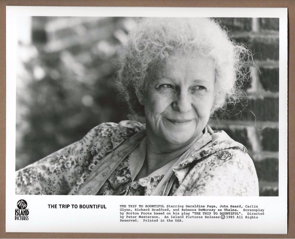 邦蒂富尔之行剧照的剧照