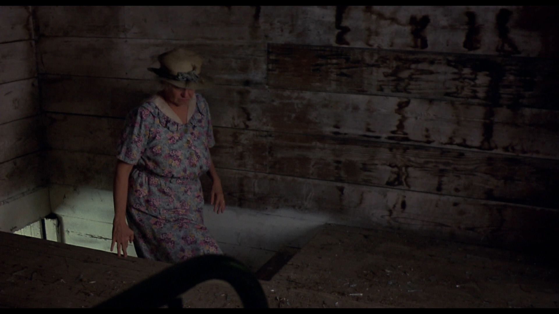 邦蒂富尔之行剧照的剧照