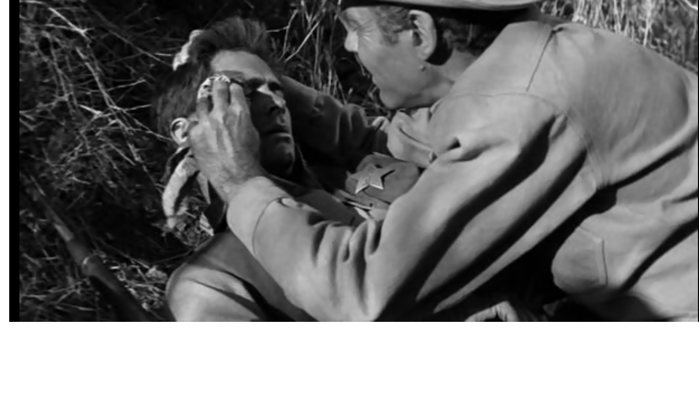 铁血警徽剧照的剧照