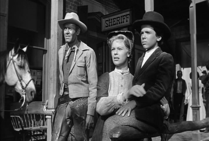 铁血警徽剧照的剧照