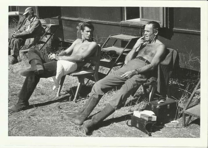 铁血警徽剧照的剧照