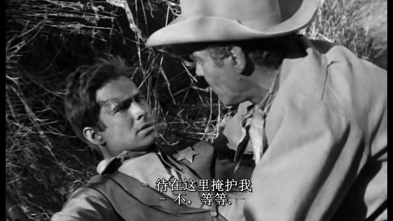 铁血警徽剧照的剧照