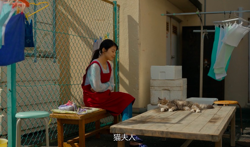 千寻小姐剧照的剧照