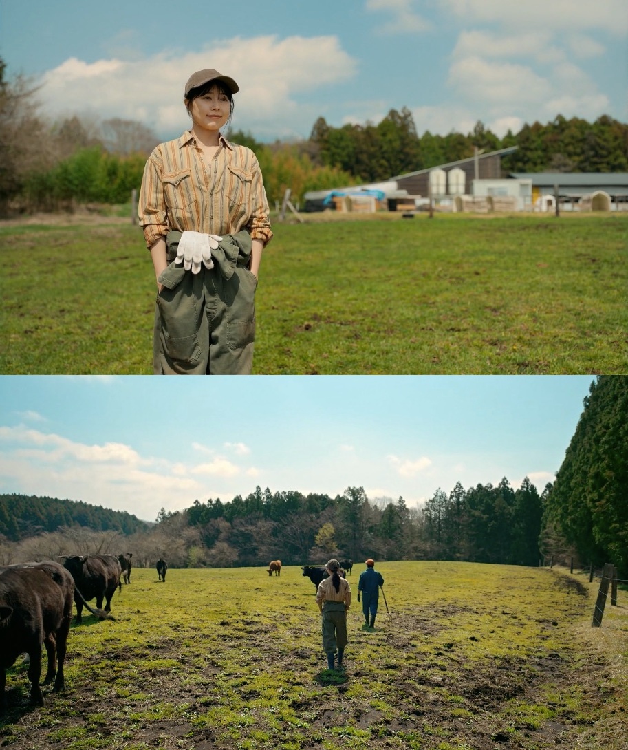 千寻小姐剧照的剧照