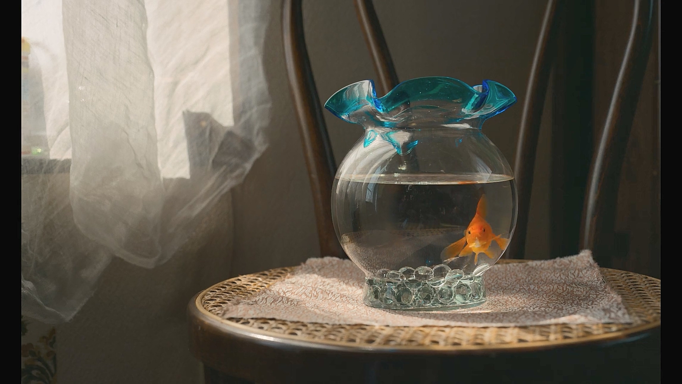 千寻小姐剧照的剧照