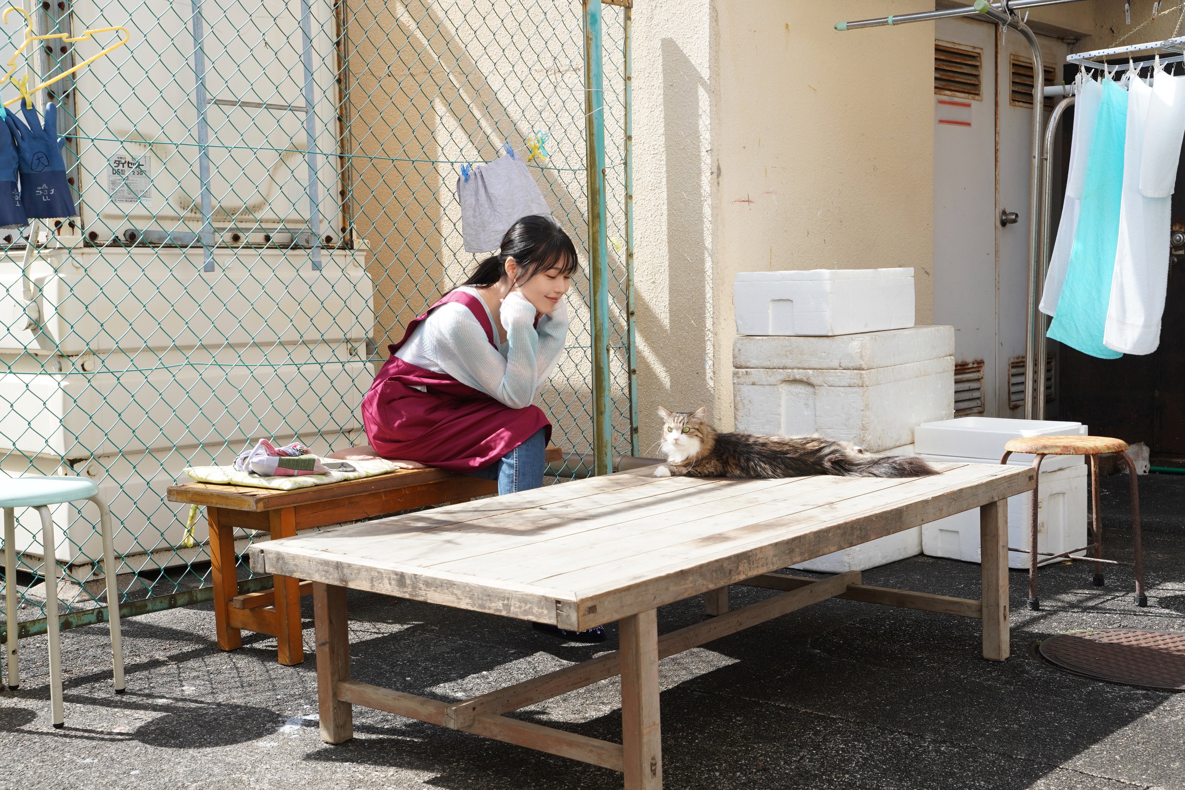 千寻小姐剧照的剧照