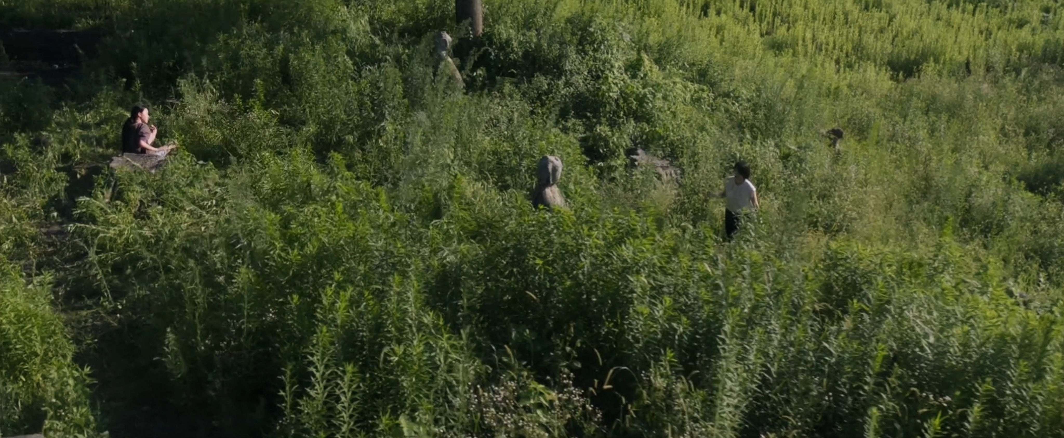 海湾之遇剧照的剧照