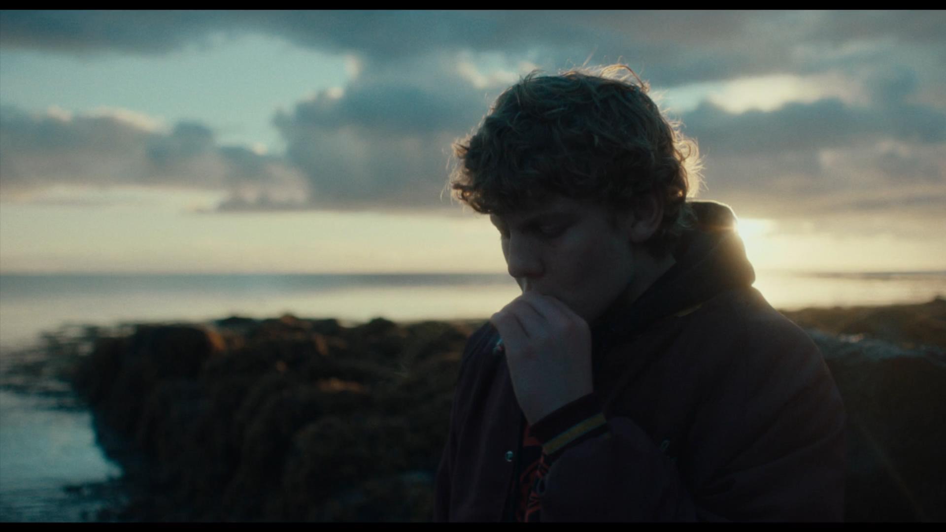 美丽的生物剧照的剧照