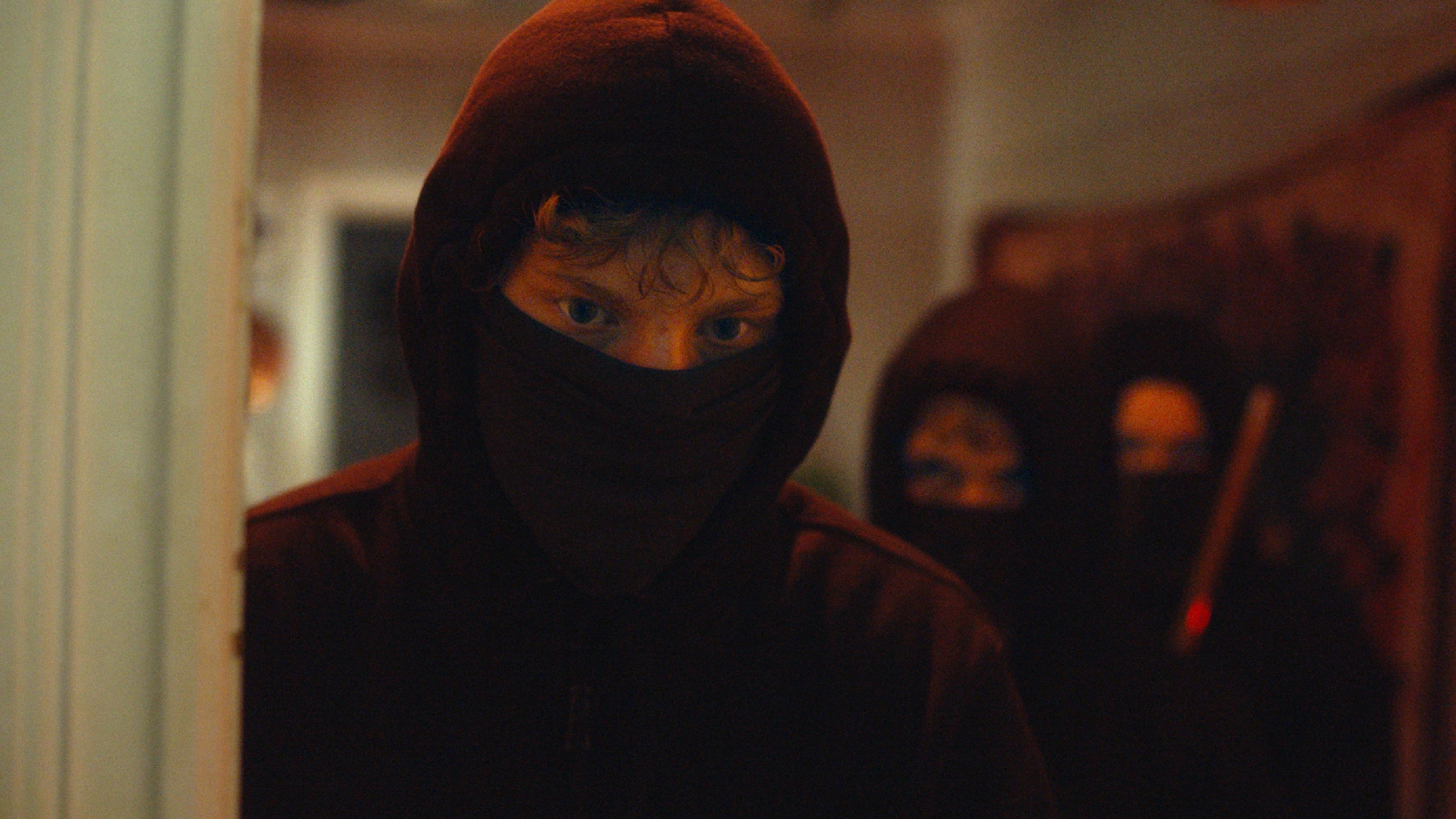 美丽的生物剧照的剧照