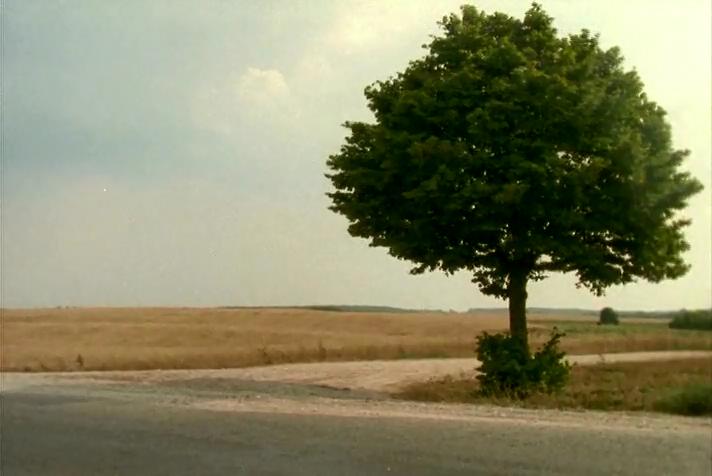 来自东方剧照的剧照