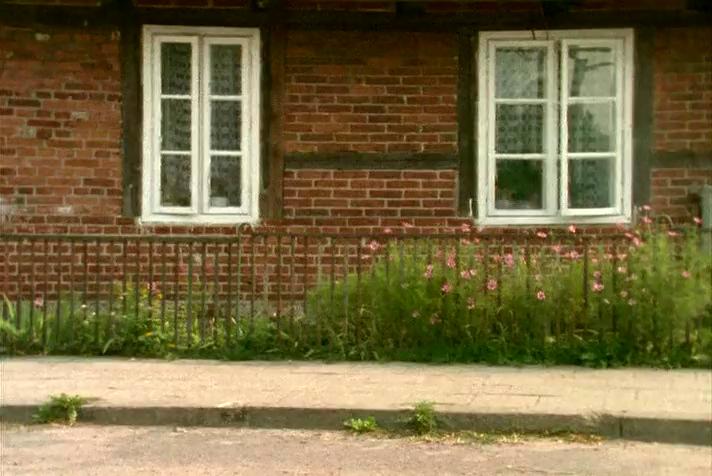 来自东方剧照的剧照