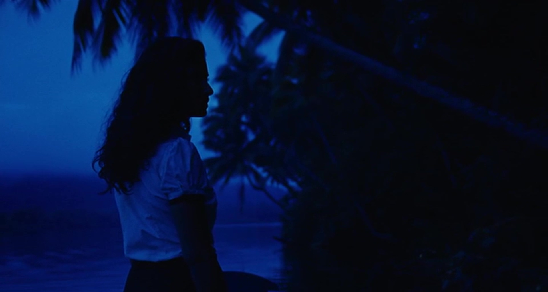 奥迈耶的痴梦剧照的剧照