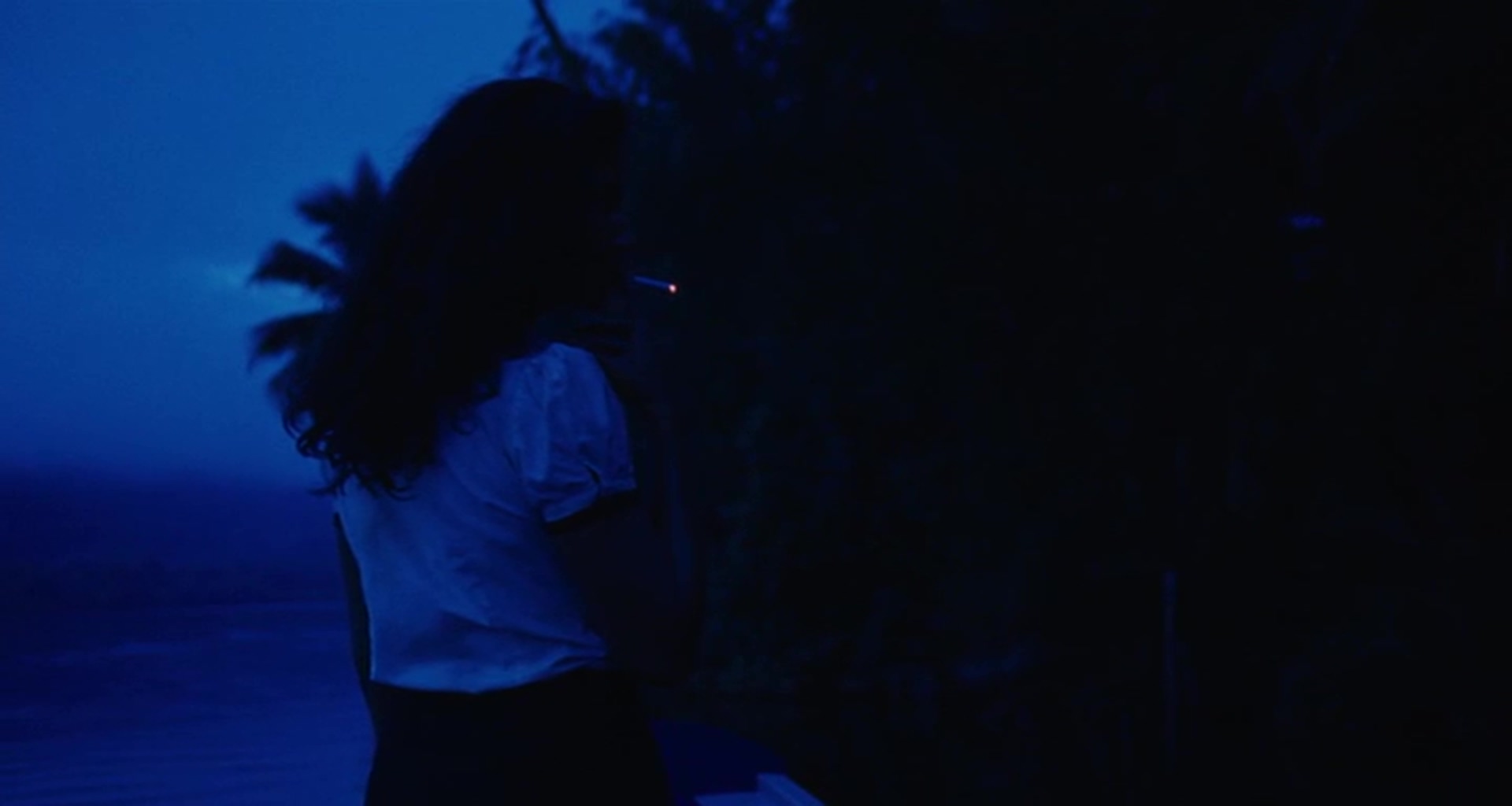 奥迈耶的痴梦剧照的剧照