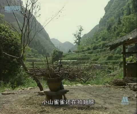 阿桃剧照的剧照