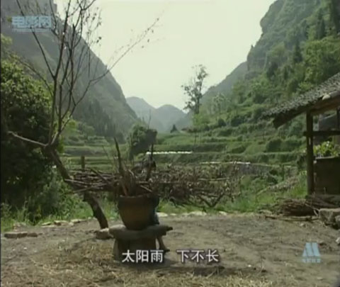 阿桃剧照的剧照