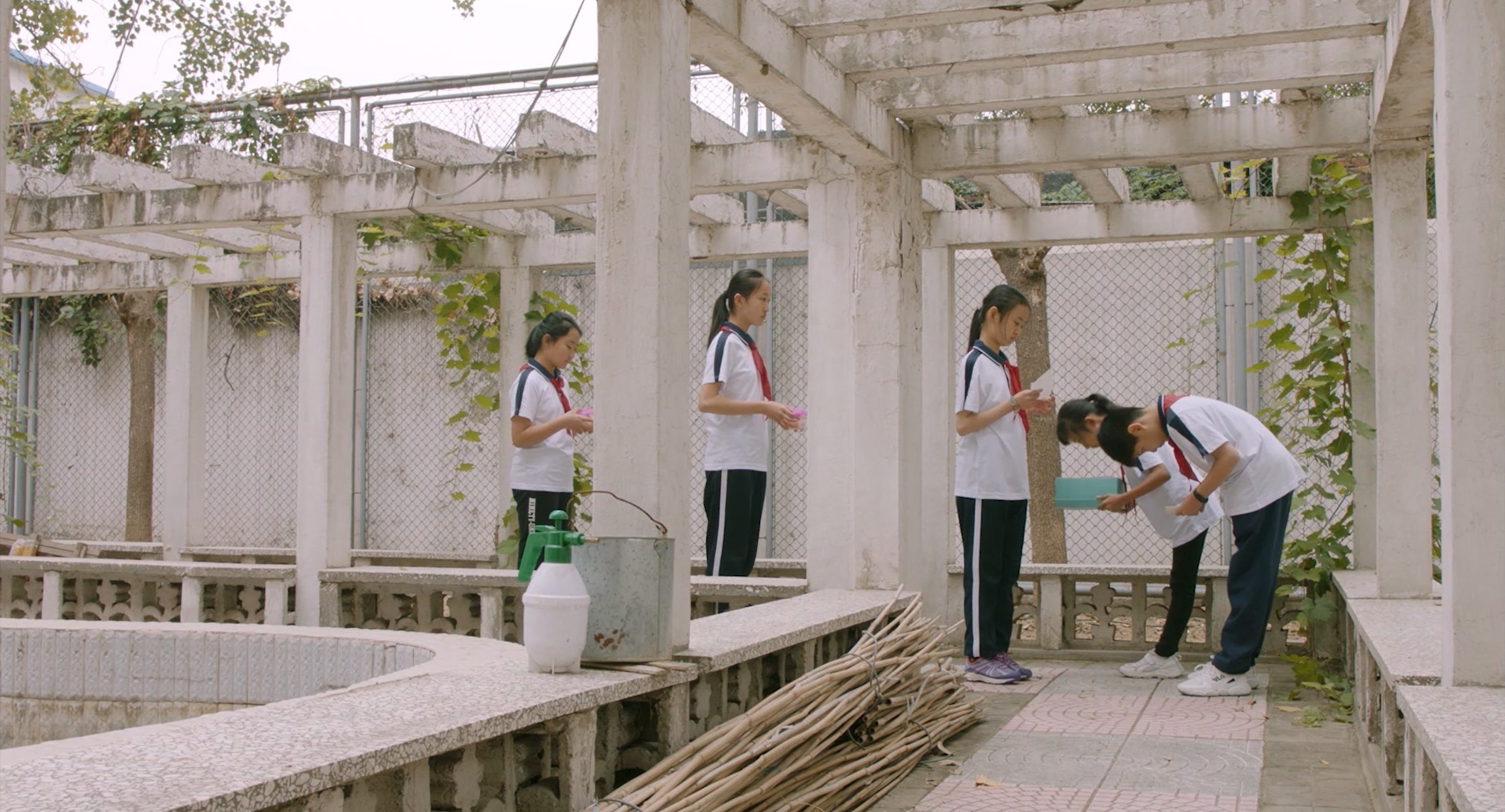 六年级剧照的剧照