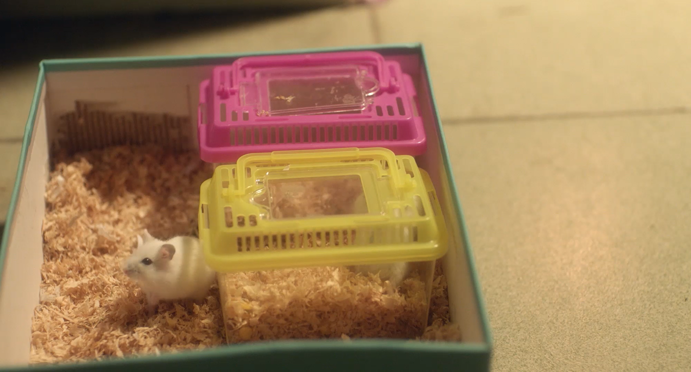 六年级剧照的剧照