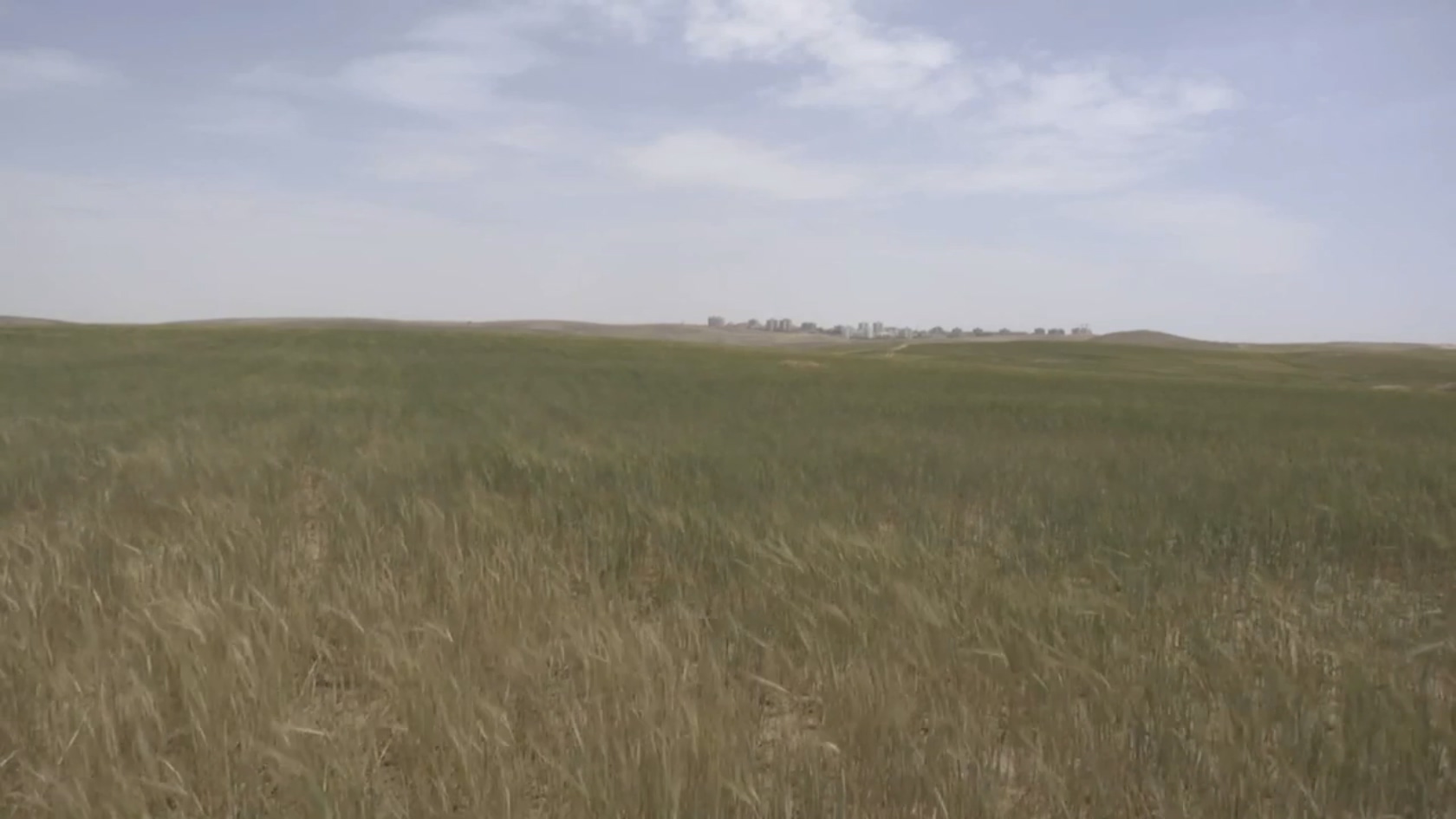 非家庭电影剧照的剧照