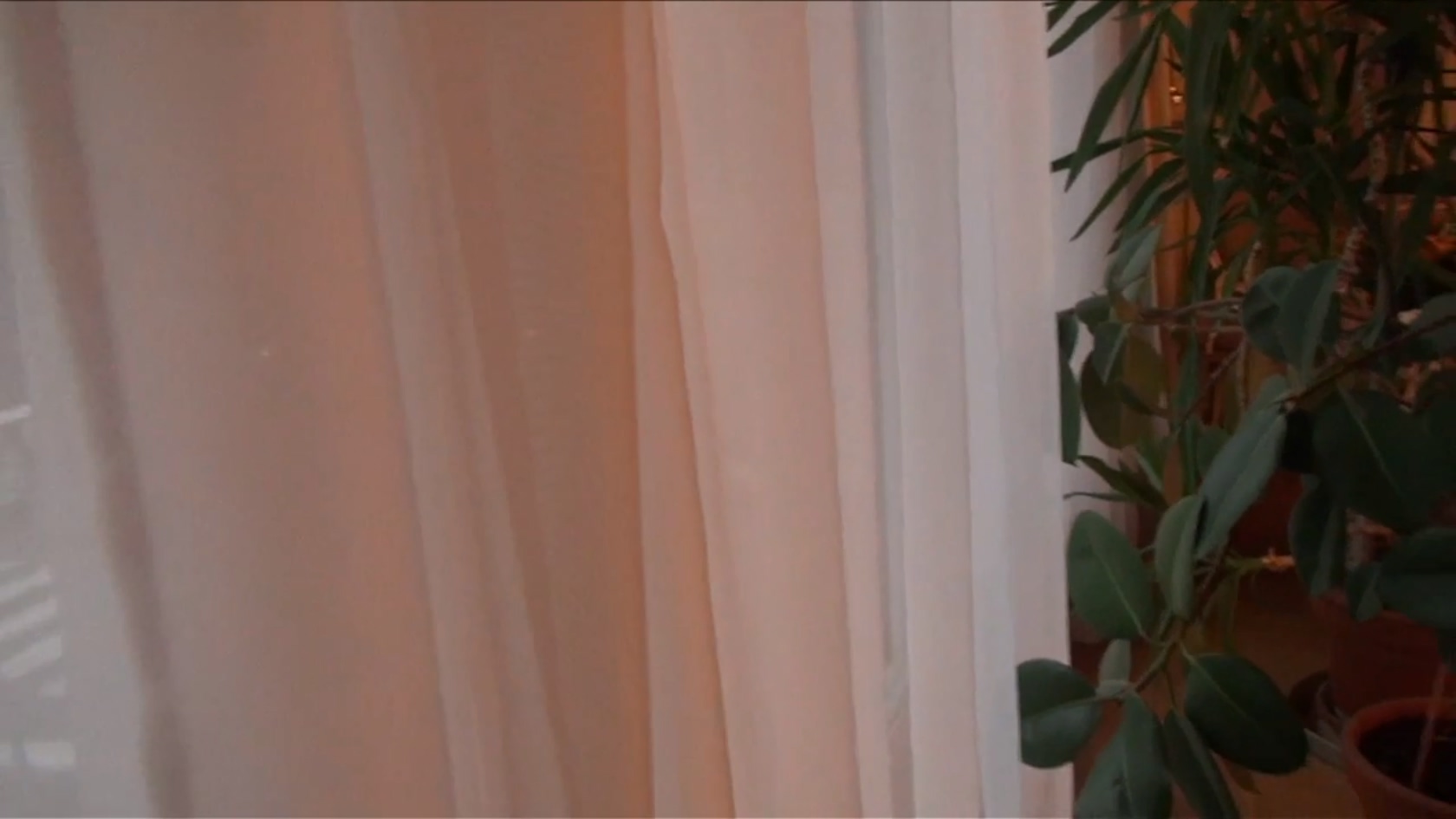 非家庭电影剧照的剧照