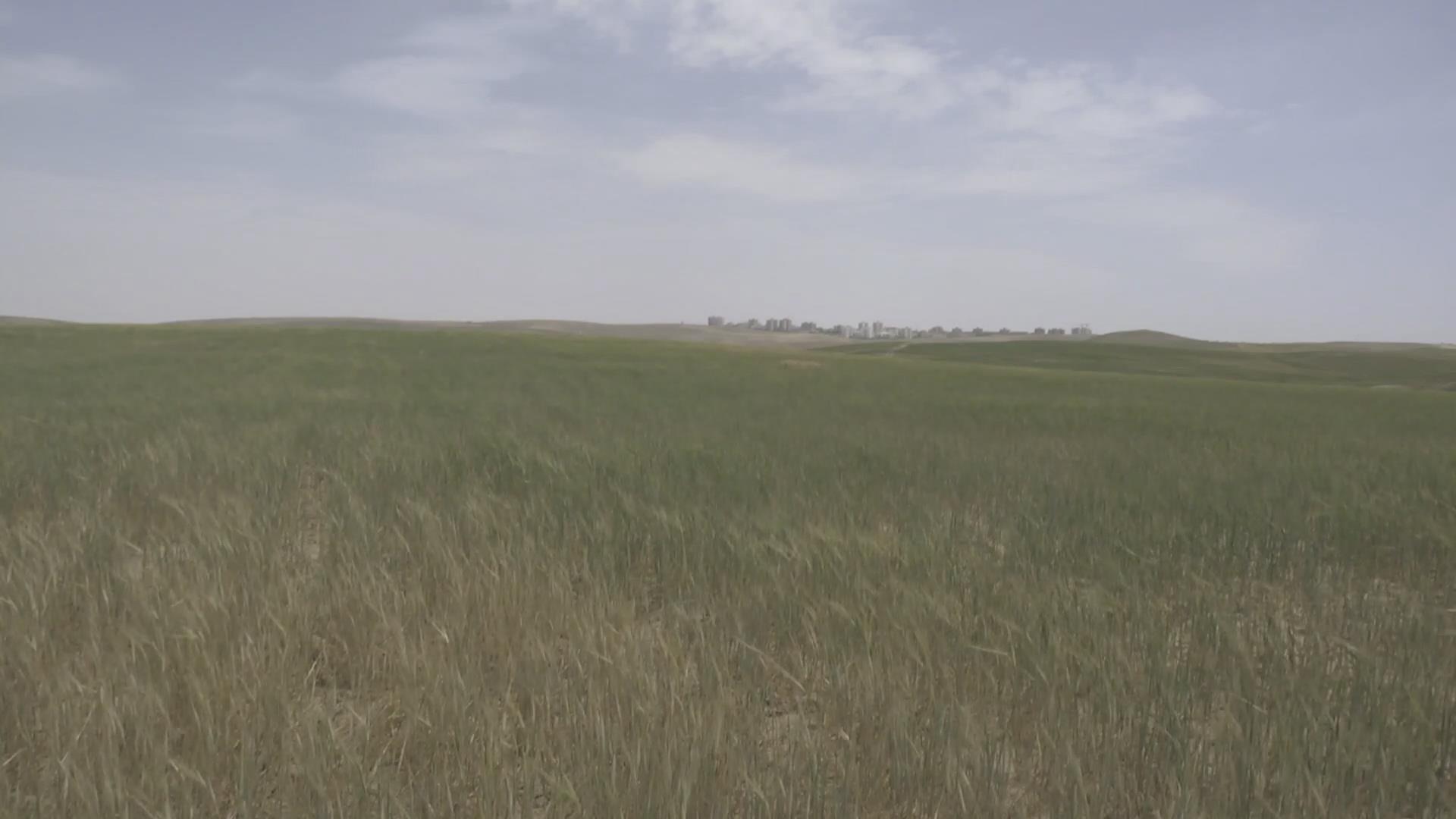 非家庭电影剧照的剧照