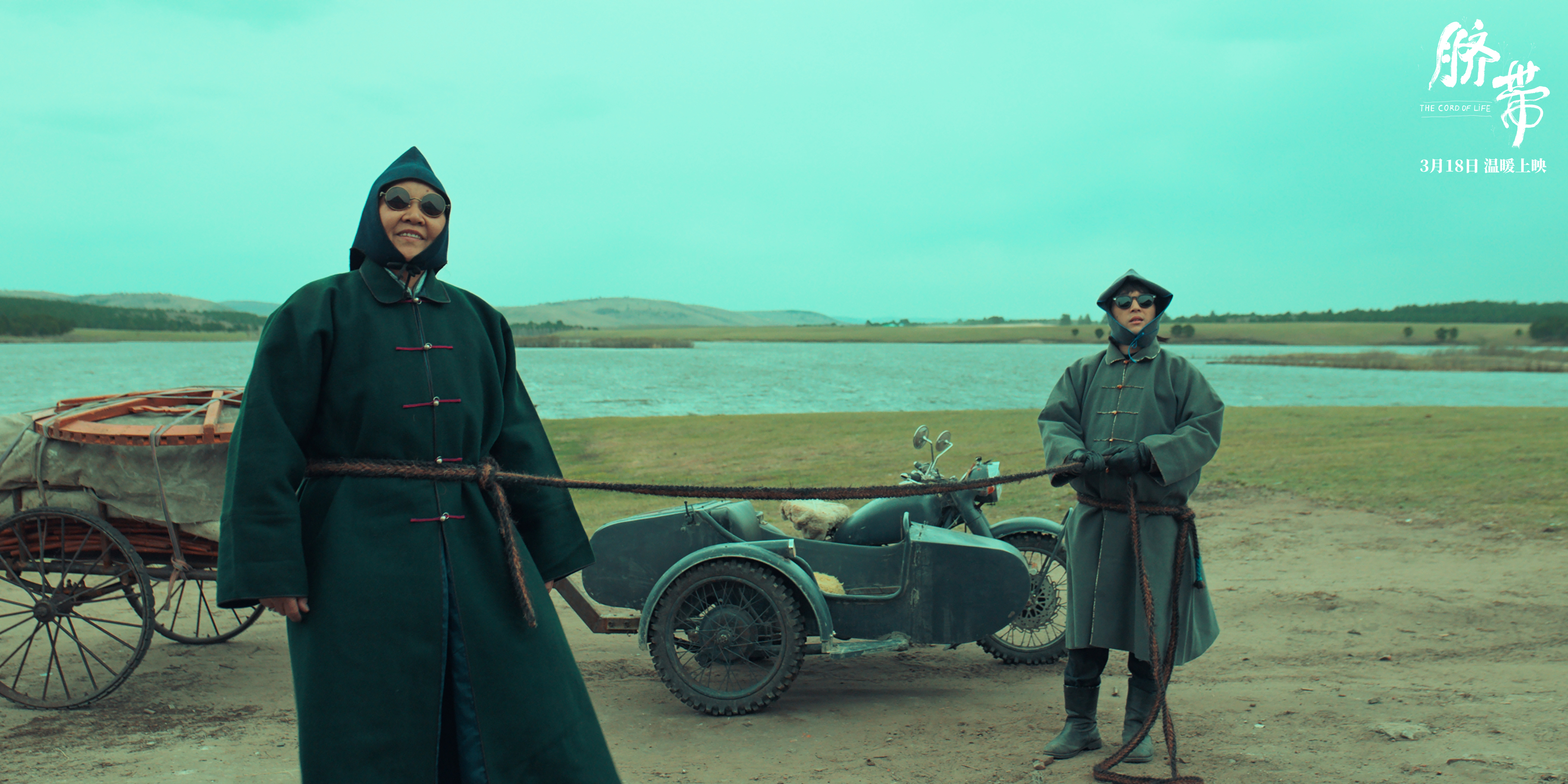 脐带剧照的剧照