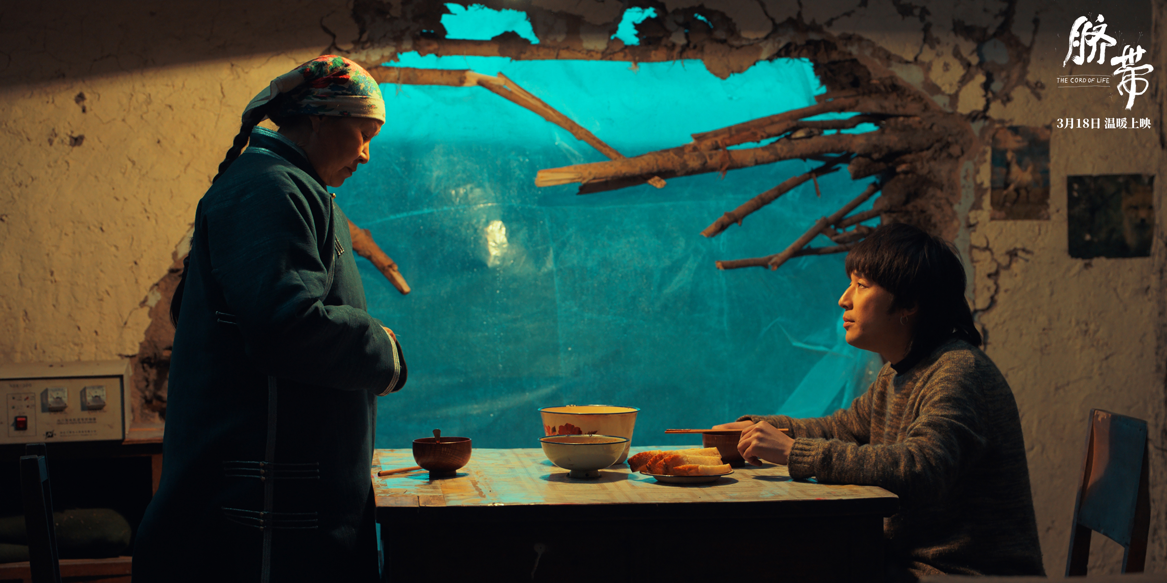 脐带剧照的剧照