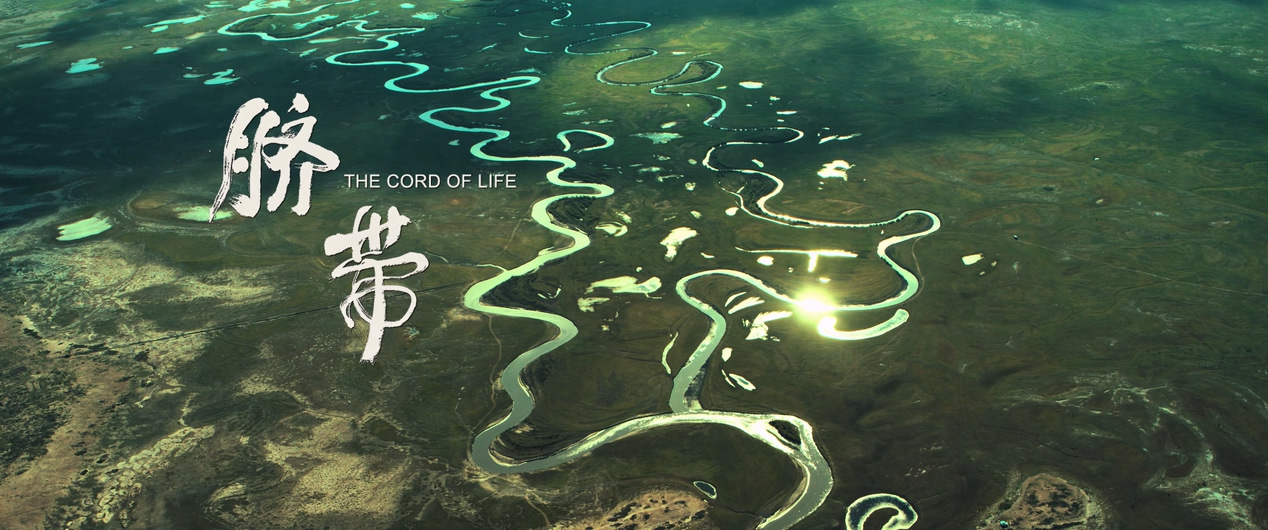 脐带剧照的剧照