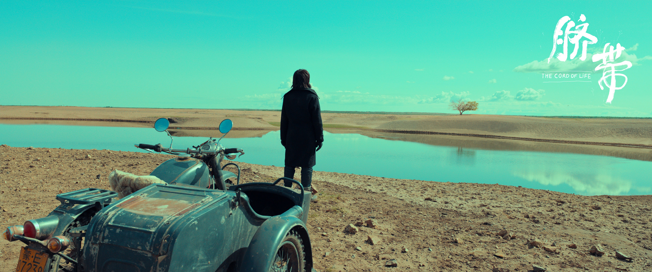 脐带剧照的剧照