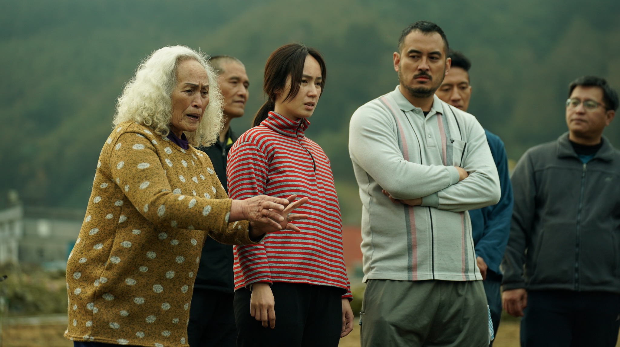 哈勇家剧照的剧照