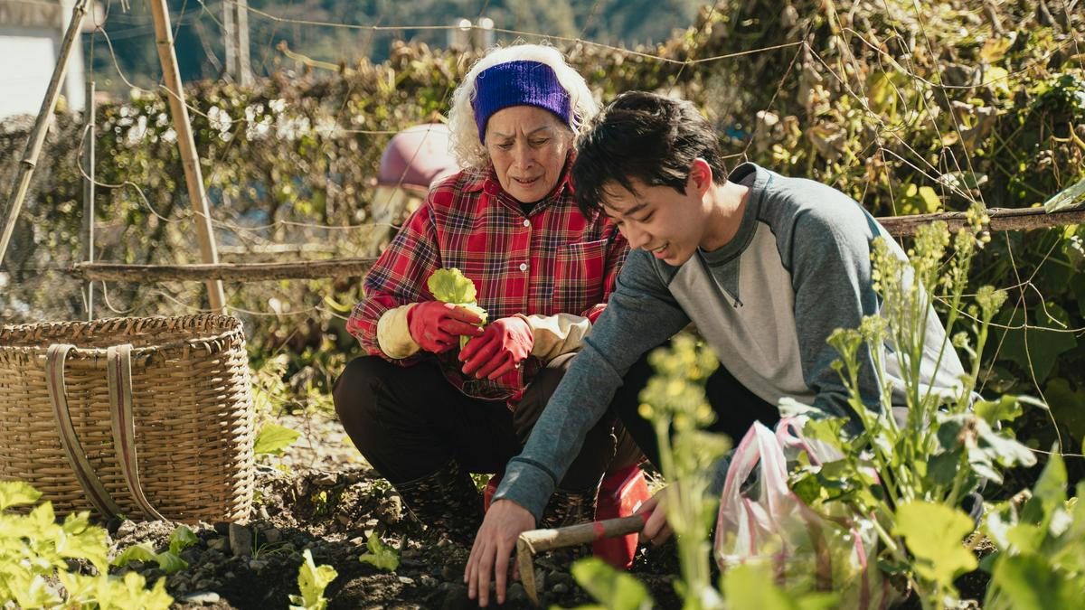 哈勇家剧照的剧照